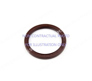 OIL SEAL Rear Main