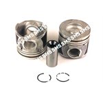 PISTON + PIN ->4 / 2006 0.25mm