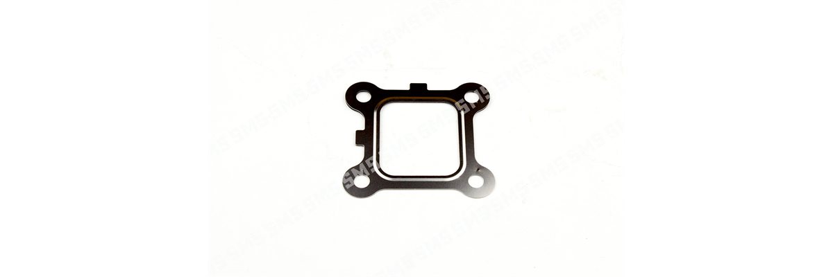 GASKET EGR Valve to Inlet Manifold ->1 / 2012