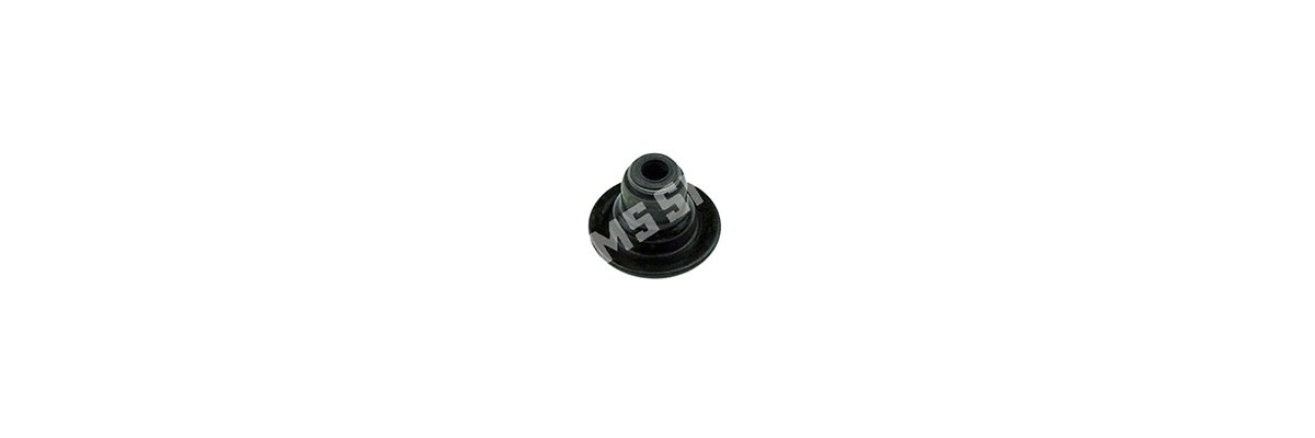 SEAL Valve Stem