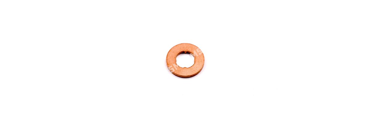 WASHER Injector