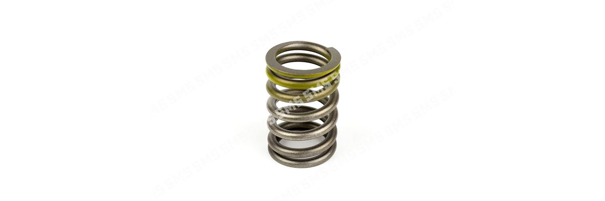 VALVE SPRING >8 / 1995