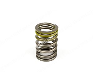VALVE SPRING >8 / 1995