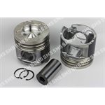 PISTON + PIN (Industrial, Common rail) Premium
