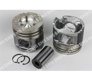 PISTON + PIN (Industrial, Common rail) Premium