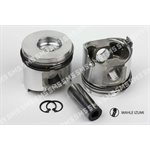PISTON ASSEMBLY Premium Std
