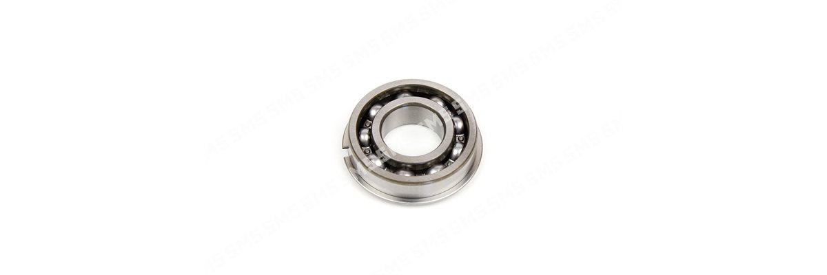 CAMSHAFT BEARING Front (roller bearing)