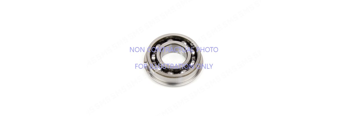 CAMSHAFT BEARING Rear (roller bearing)