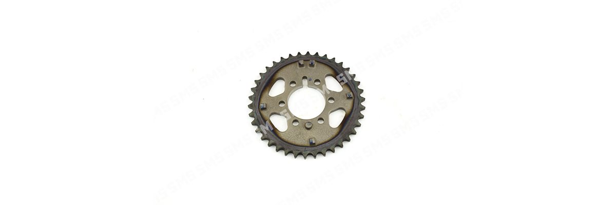 SPROCKET Camshaft Idler