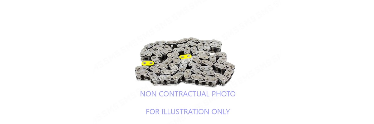 TIMING CHAIN