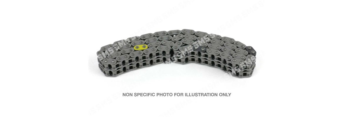 TIMING CHAIN