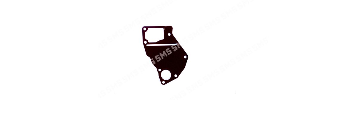 GASKET Water Pump to Crankcase / Head