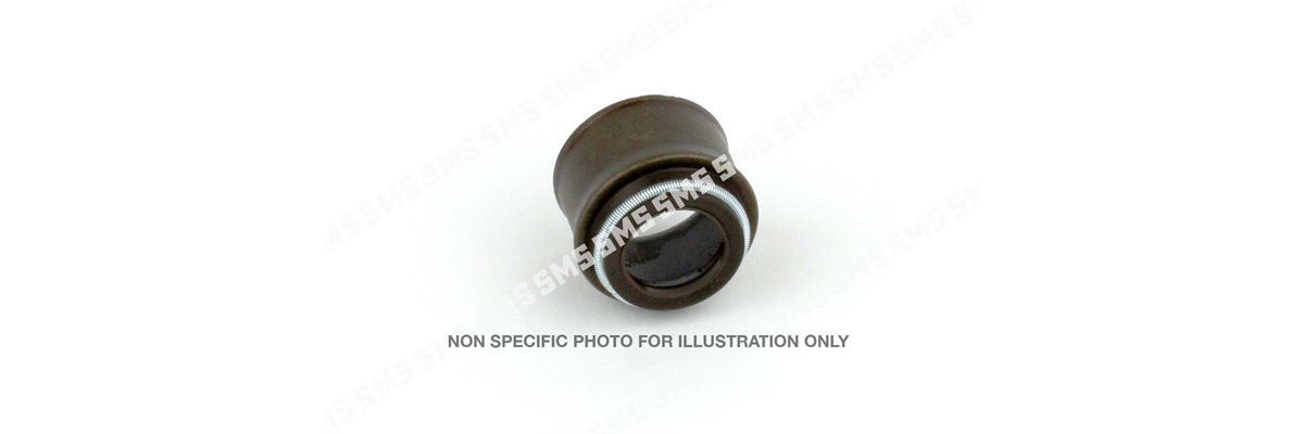 SEAL Valve Stem