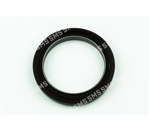 OIL SEAL + SLINGER Rear Main