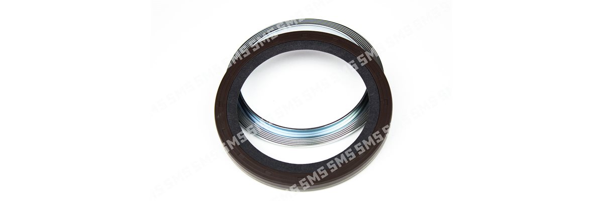 OIL SEAL + SLINGER Timing Case