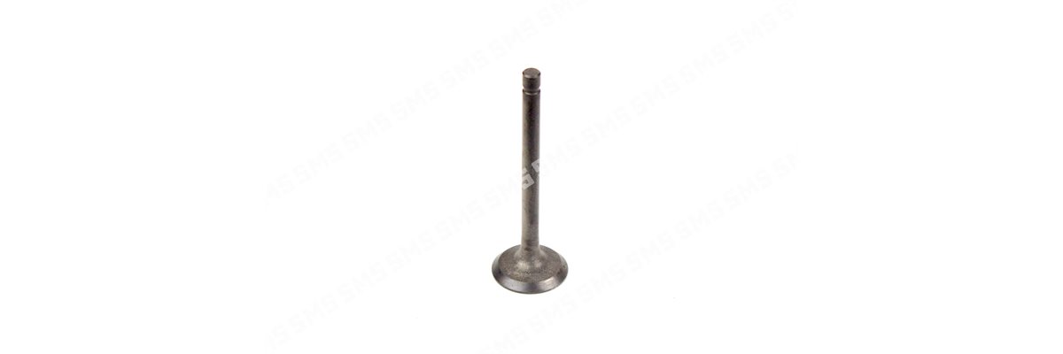 VALVE Inlet