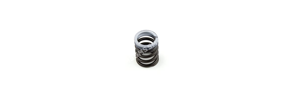 VALVE SPRING