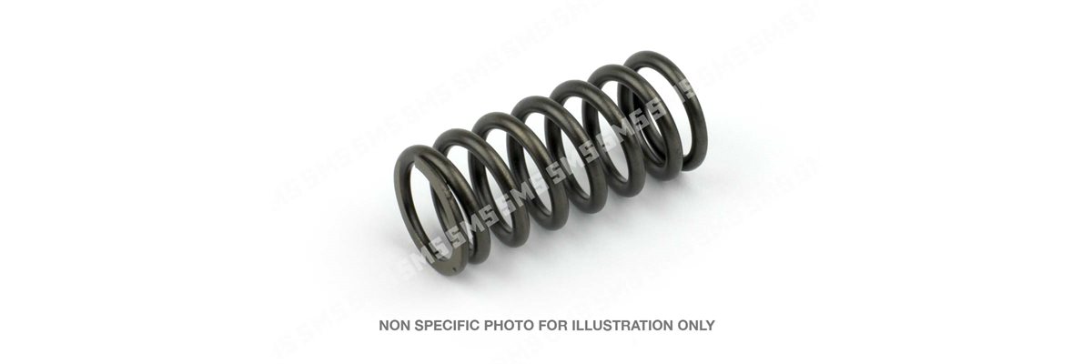 VALVE SPRING Industrial