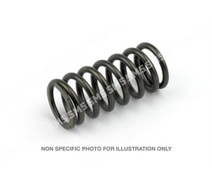 VALVE SPRING Industrial