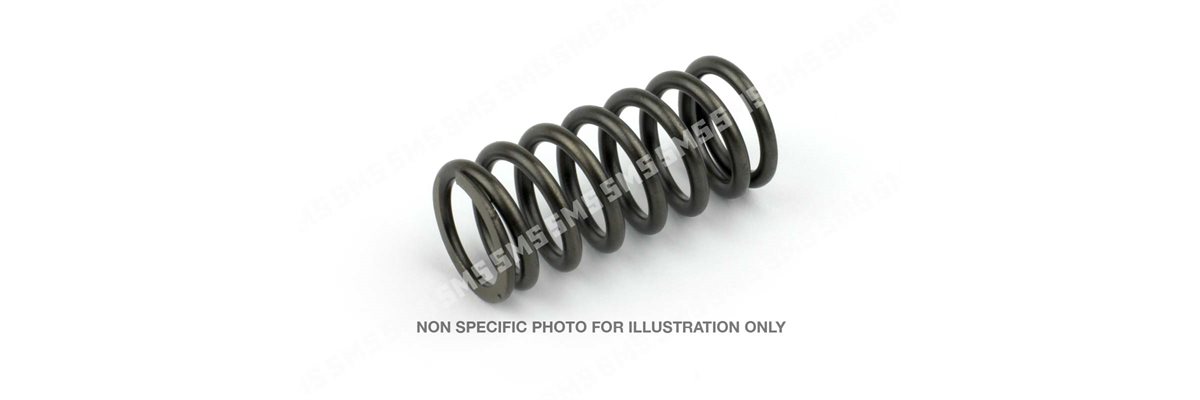 VALVE SPRING Inlet