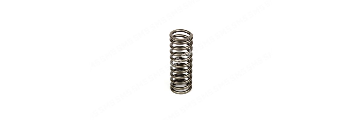 VALVE SPRING Exhaust Outer
