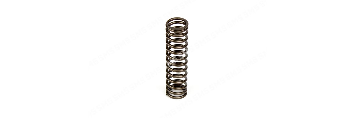 VALVE SPRING Exhaust Inner