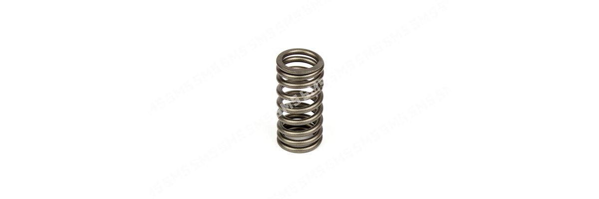 VALVE SPRING Inlet