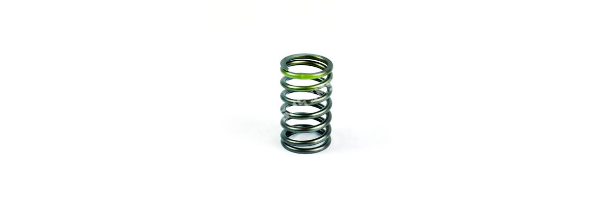 VALVE SPRING Industrial (54.20mm length)