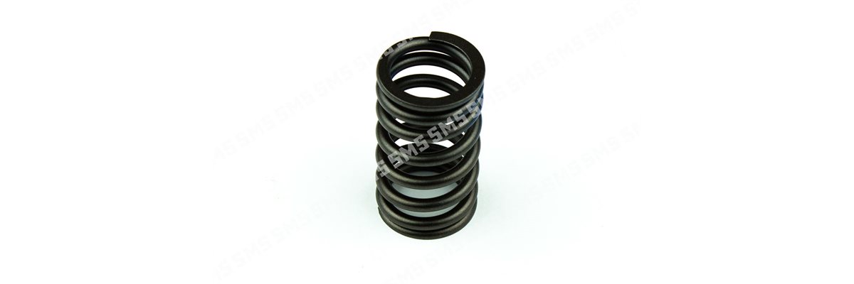 VALVE SPRING Inlet