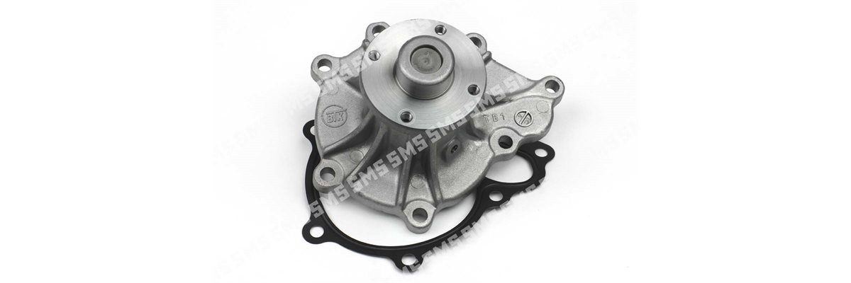 WATER PUMP Assembly