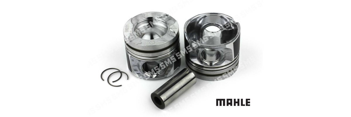 PISTON + PIN (L / H bank) Std