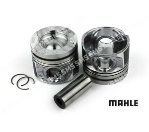 PISTON + PIN (L / H bank) Std