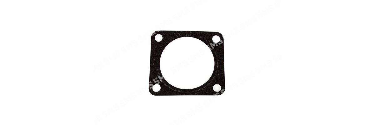GASKET EGR Valve Assembly