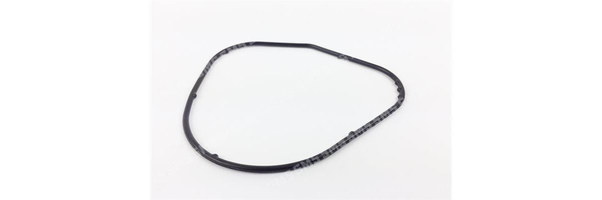 O RING Oil Pump