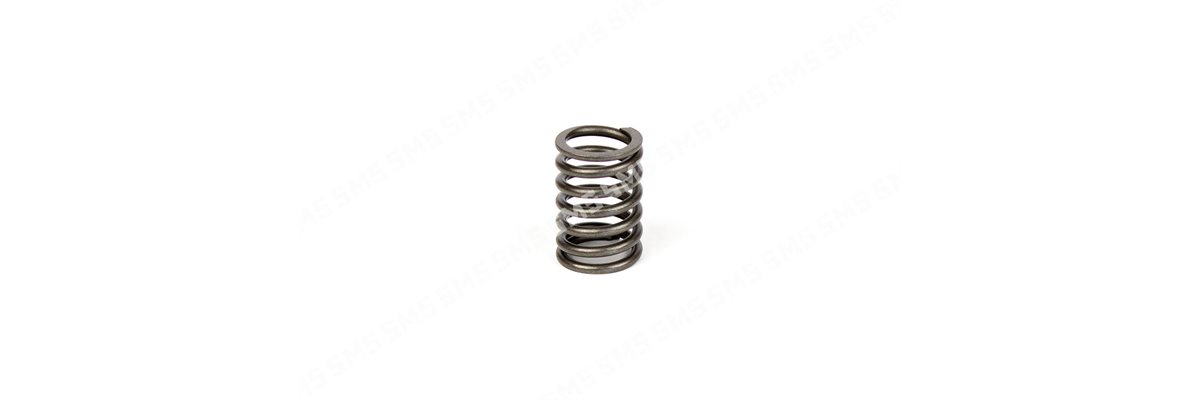 VALVE SPRING 8 / 1998>