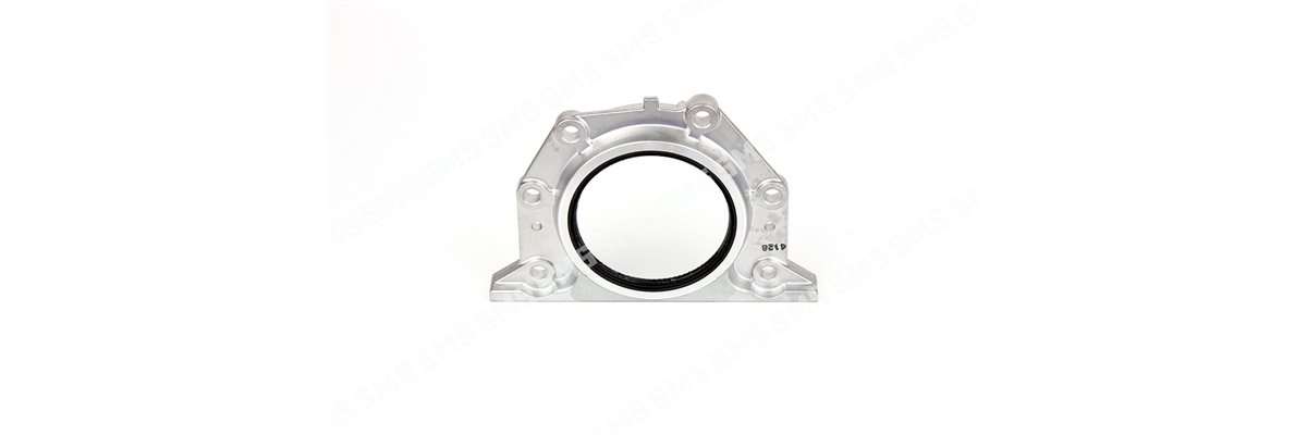 OIL SEAL Rear Main + Retainer