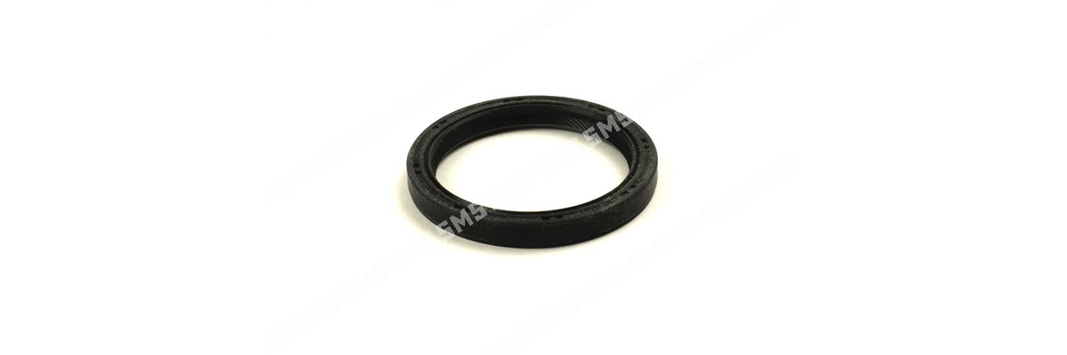 OIL SEAL Timing Case