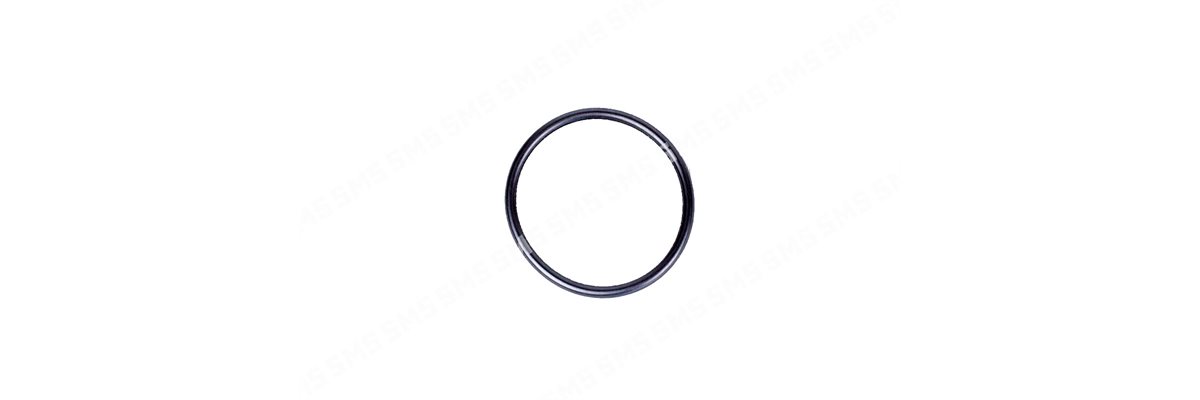 O RING Common Rail Pump to Bracket 1 / 2007>