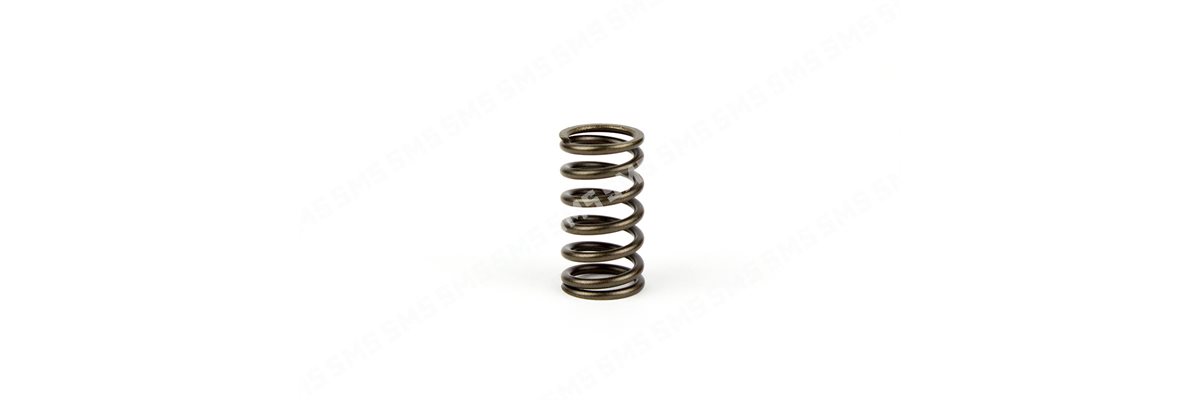 VALVE SPRING
