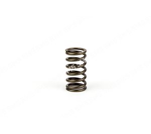 VALVE SPRING