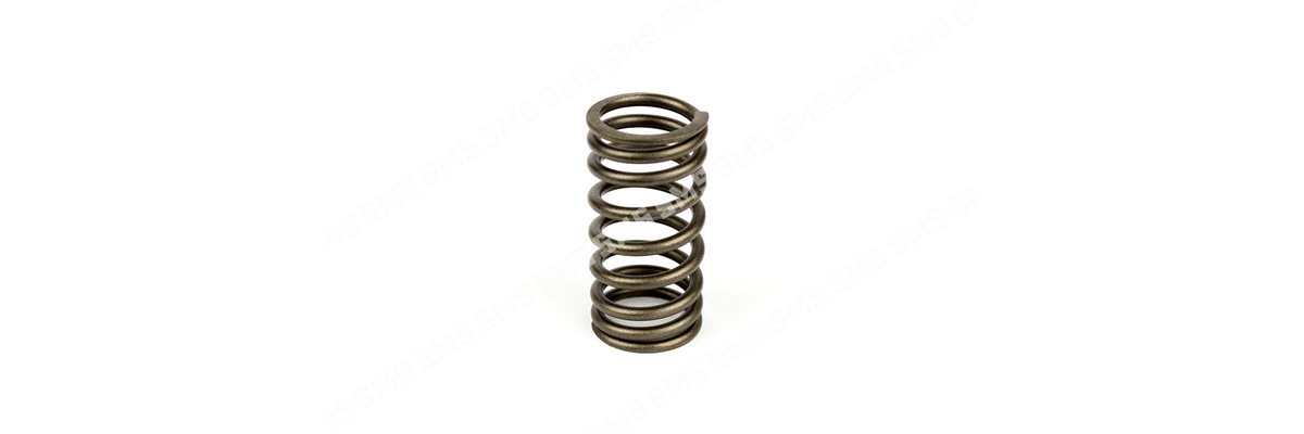 VALVE SPRING