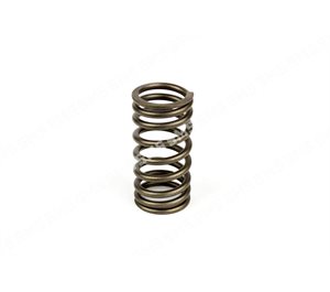 VALVE SPRING
