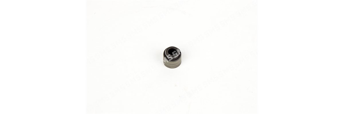 SEAL Valve Stem