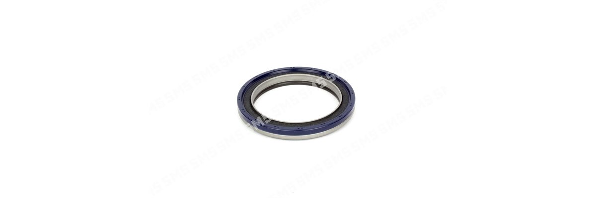 OIL SEAL + SLINGER Rear Main