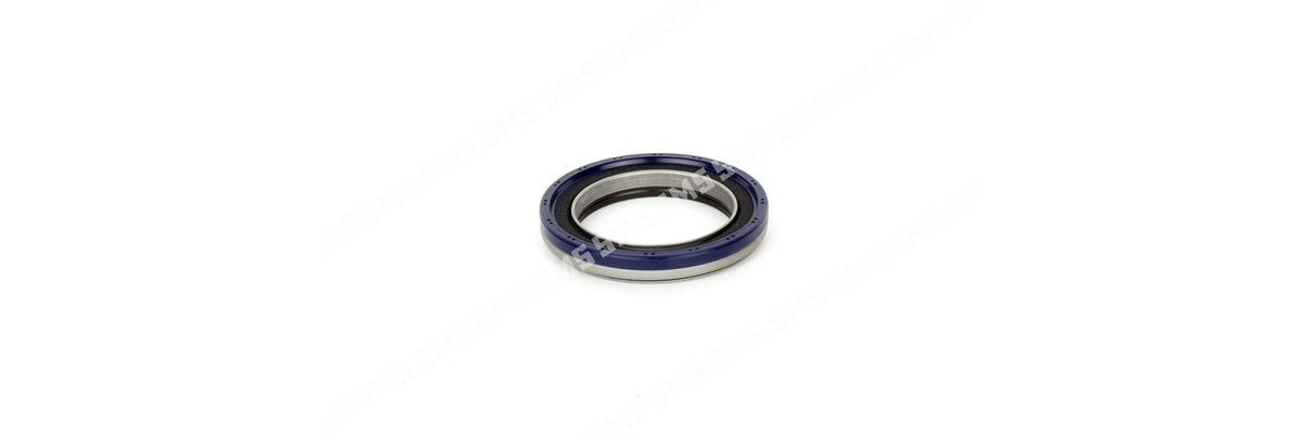 OIL SEAL + SLINGER Timing Case