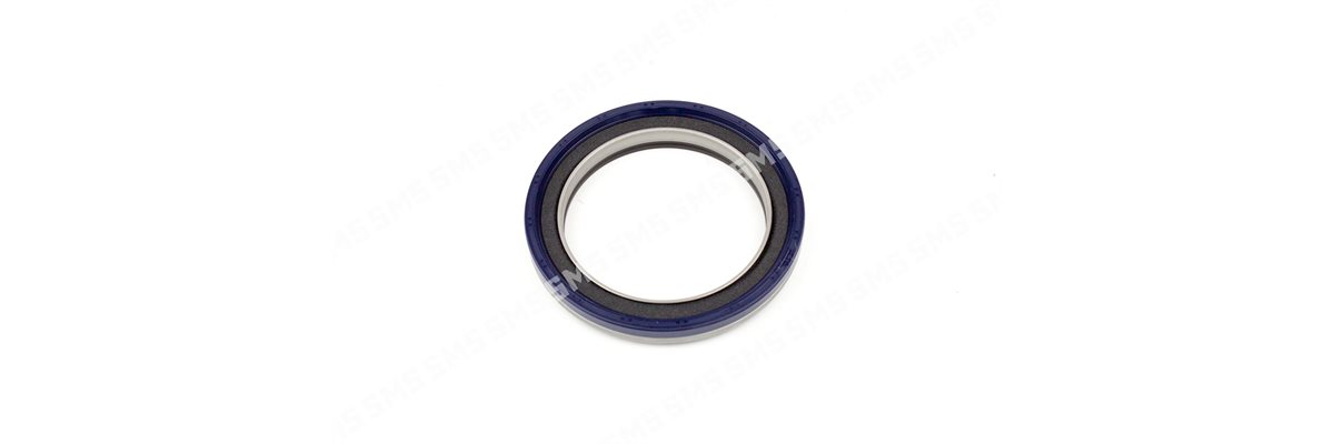 OIL SEAL + SLINGER Timing Case
