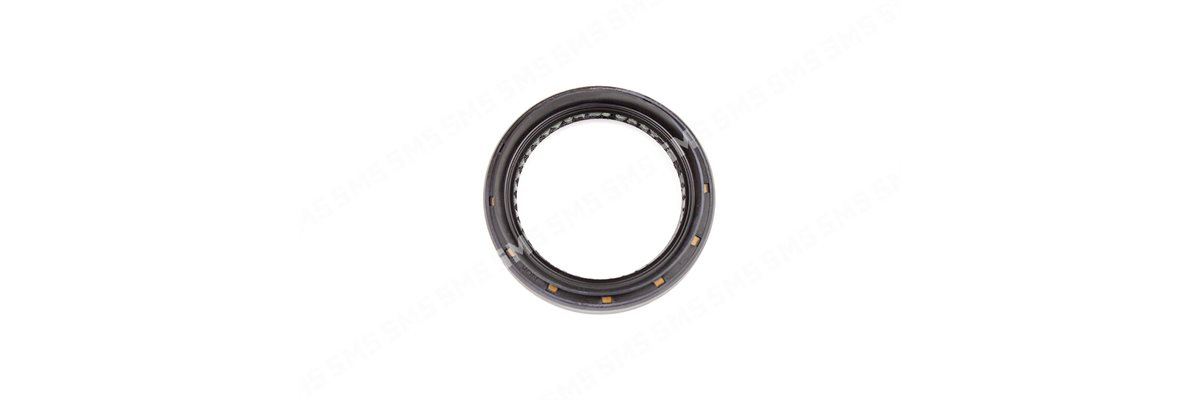 OIL SEAL Timing Case