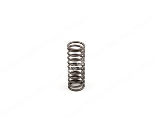 VALVE SPRING