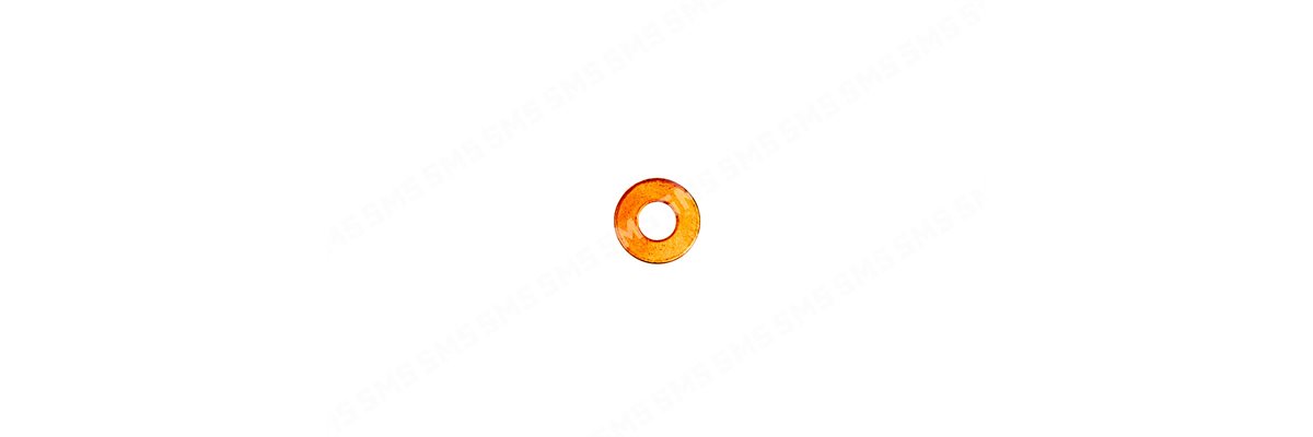 INJECTOR WASHER