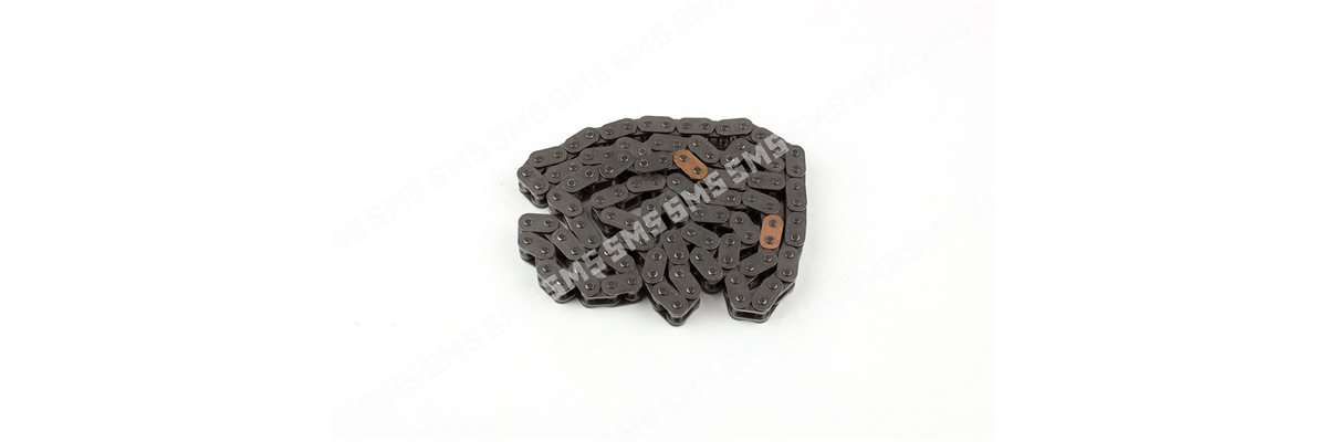TIMING CHAIN (camshaft)